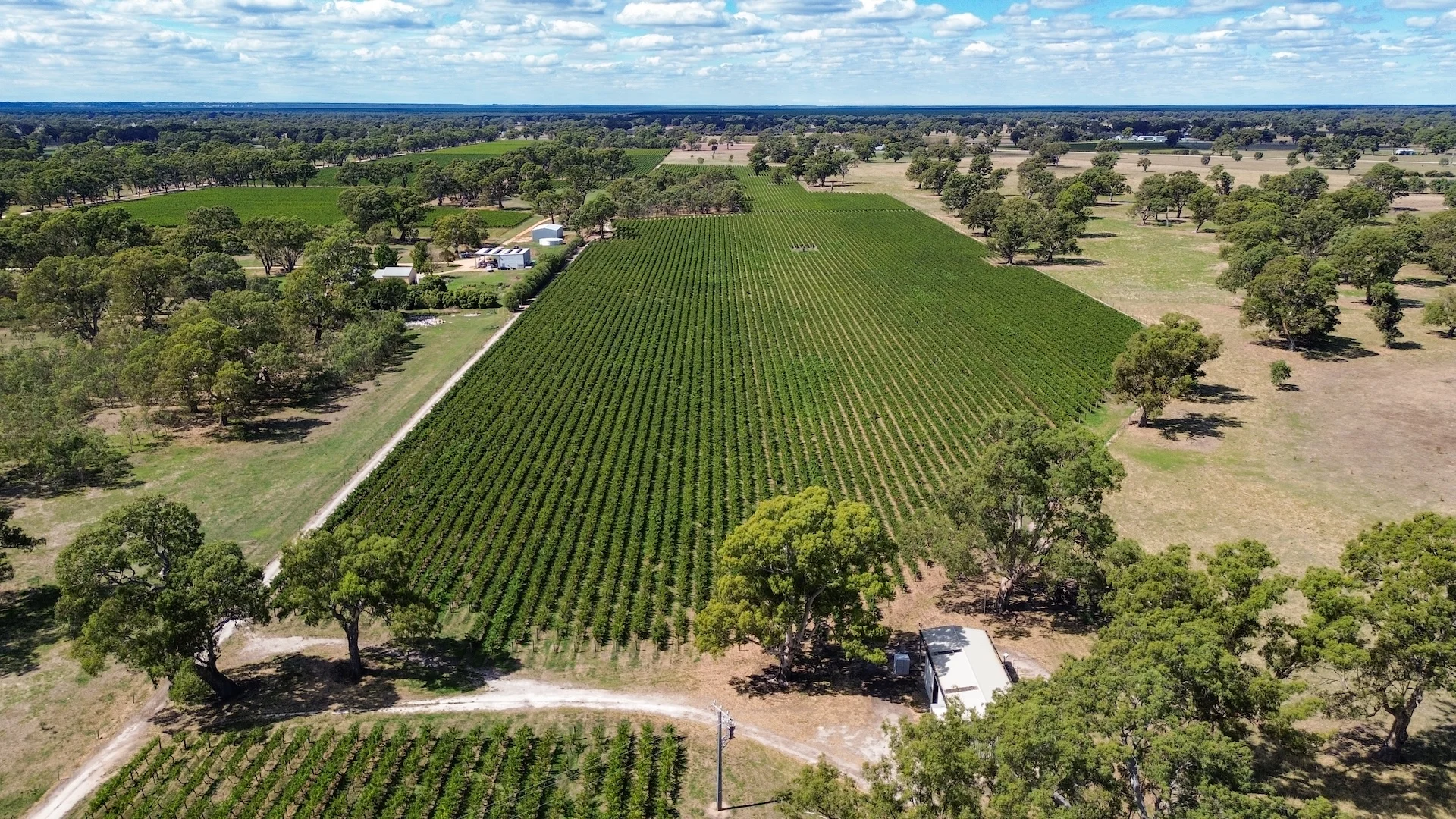 Additional image 10 of V&A Lane, Coonawarra SA 5263