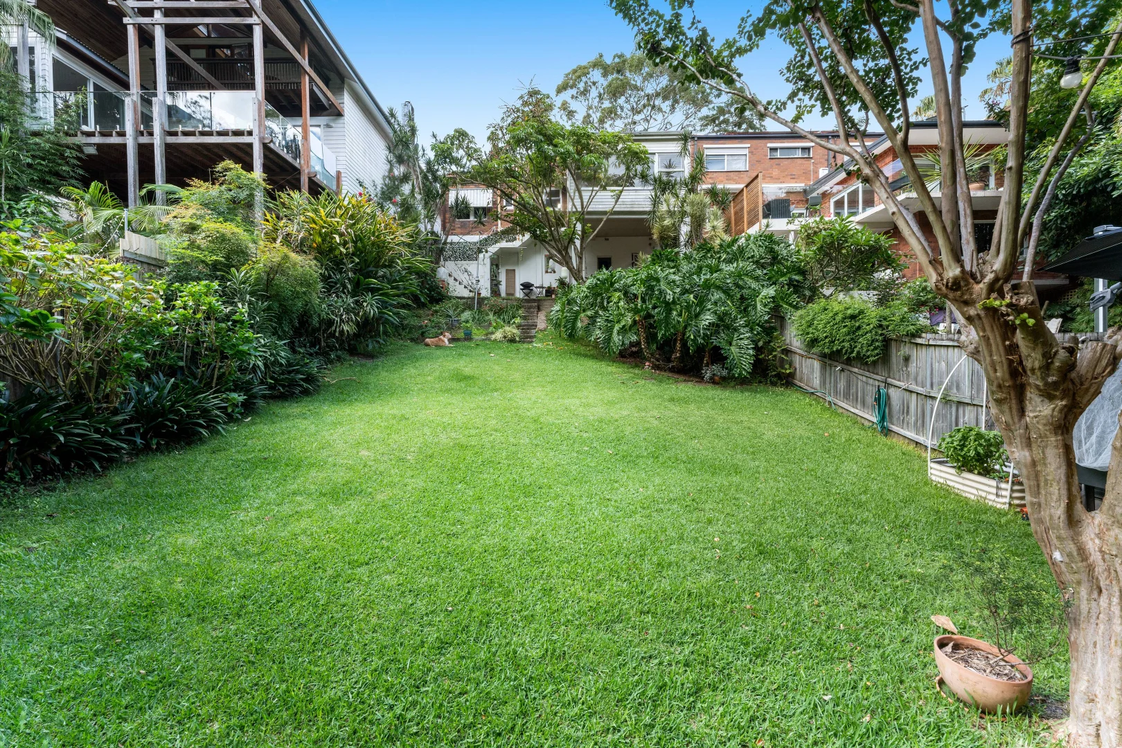Additional image 9 of 6 & 8 Glen Avenue, Randwick NSW 2031