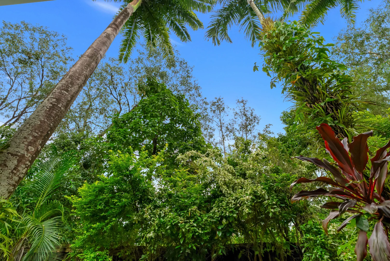 Additional image 28 of 29/1 Beor Street, Port Douglas QLD 4877
