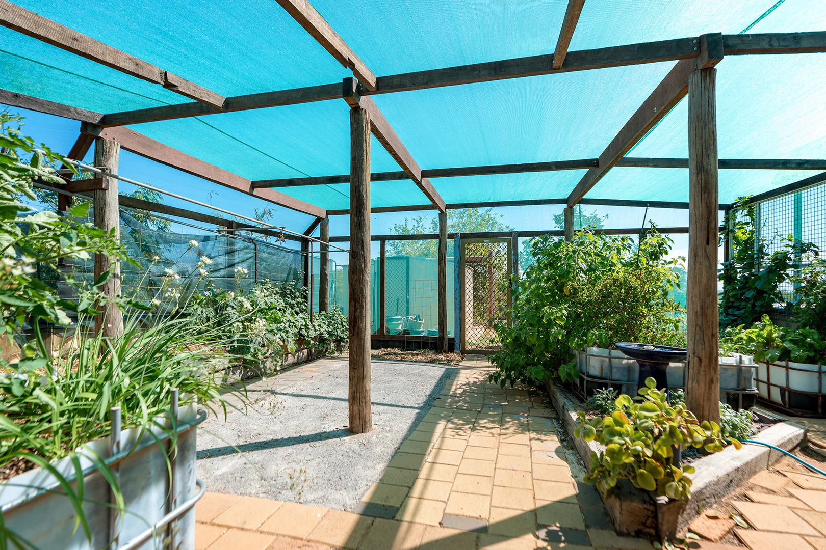 Additional image 16 of 65 Albert Road, Waggrakine WA 6530