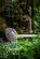 Additional image 28 of Ockham Lane, Cobham, Surrey, KT11