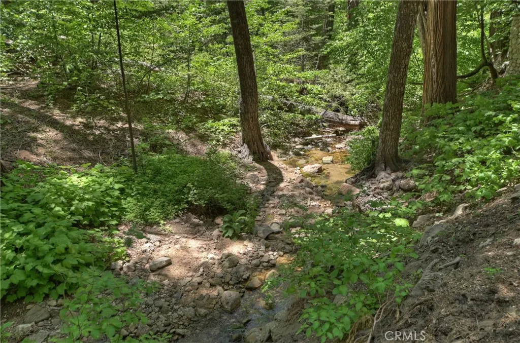 Additional image 50 of 425 Blue Jay Canyon Rd, Lake Arrowhead, CA 92317