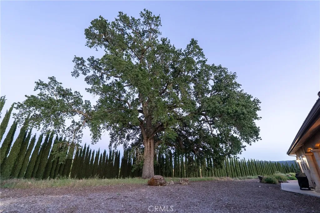 Additional image 138 of 5250 Vineyard Dr, Paso Robles, CA 93446