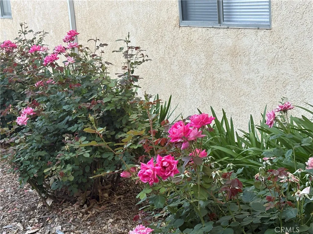 Additional image 68 of 8105 Canby Unit 4, Reseda, CA 91335
