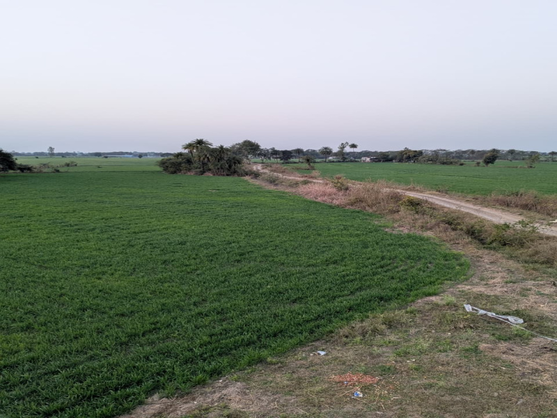 Additional image 2 of Sehore Road, Bhopal
