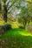 Additional image 55 of Abergwesyn Road , Tregaron, SY25