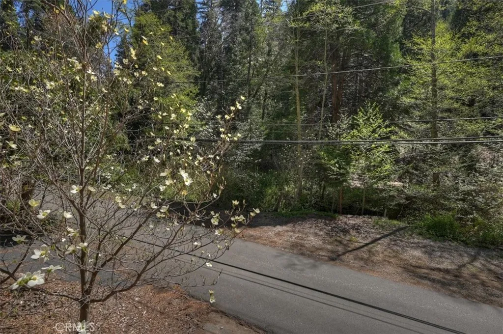 Additional image 49 of 425 Blue Jay Canyon Rd, Lake Arrowhead, CA 92317