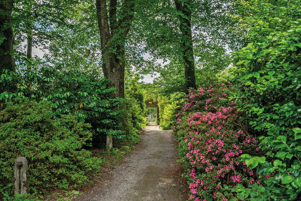 Additional image 22 of 5 bed detached house for saleNear Mawnan Smith, Falmouth, South Cornwall TR11