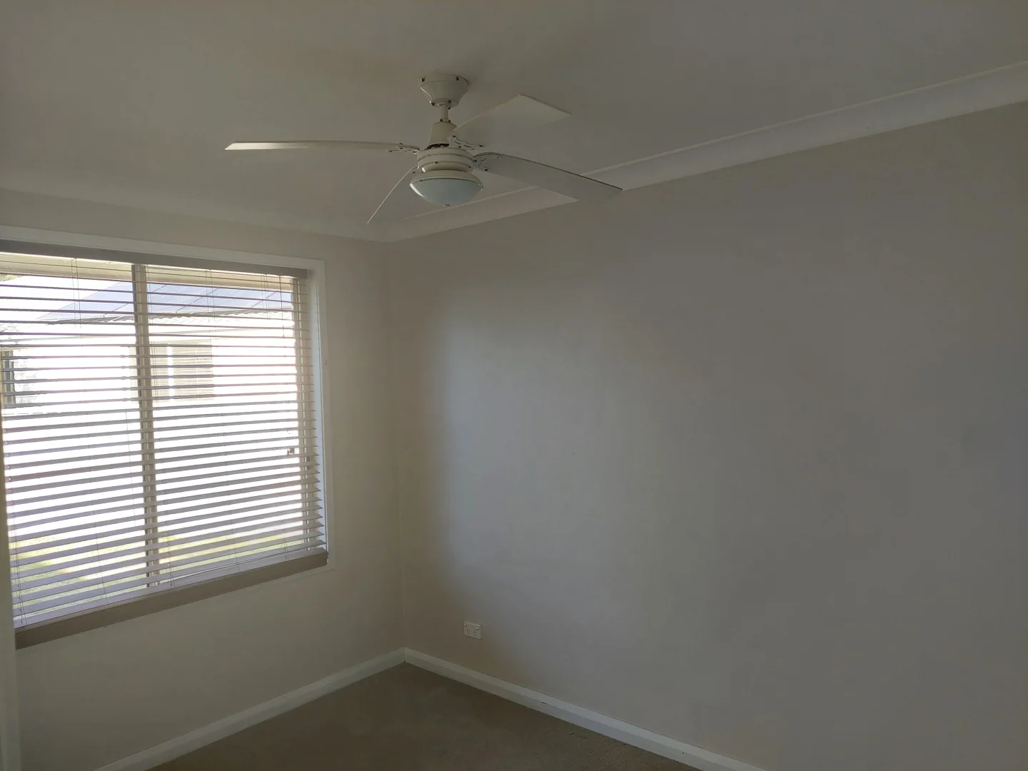 Additional image 10 of 34 Reilly St, Thornton NSW 2322