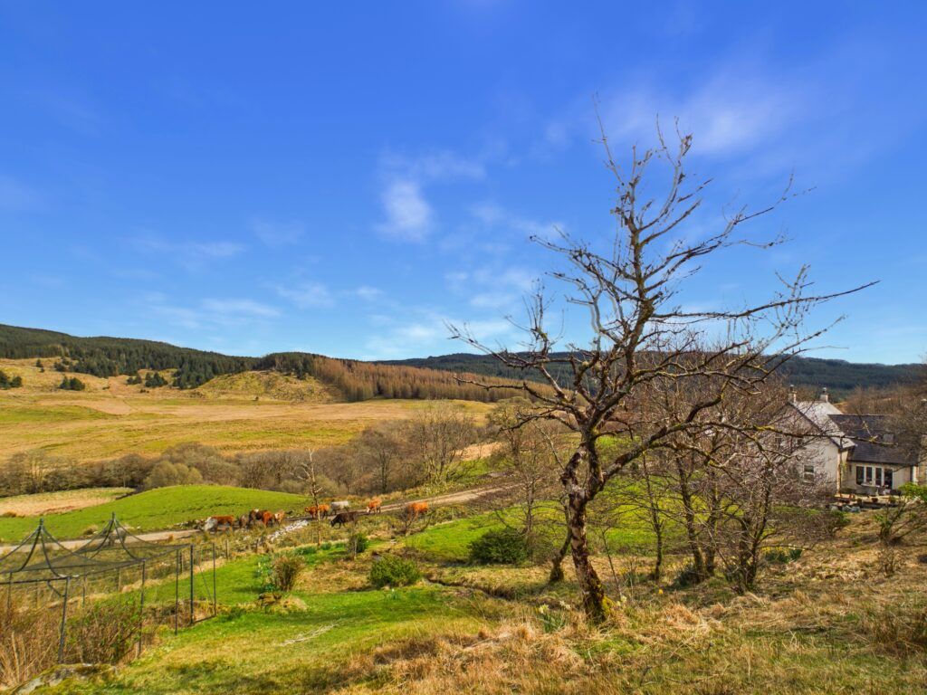 Additional image 45 of 4 bed detached house for saleSheean, Kilmichael Glen, By Lochgilphead, Argyll PA31