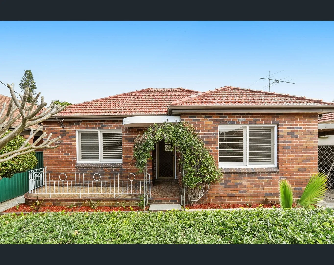 16 Walker Avenue, Mascot NSW 2020