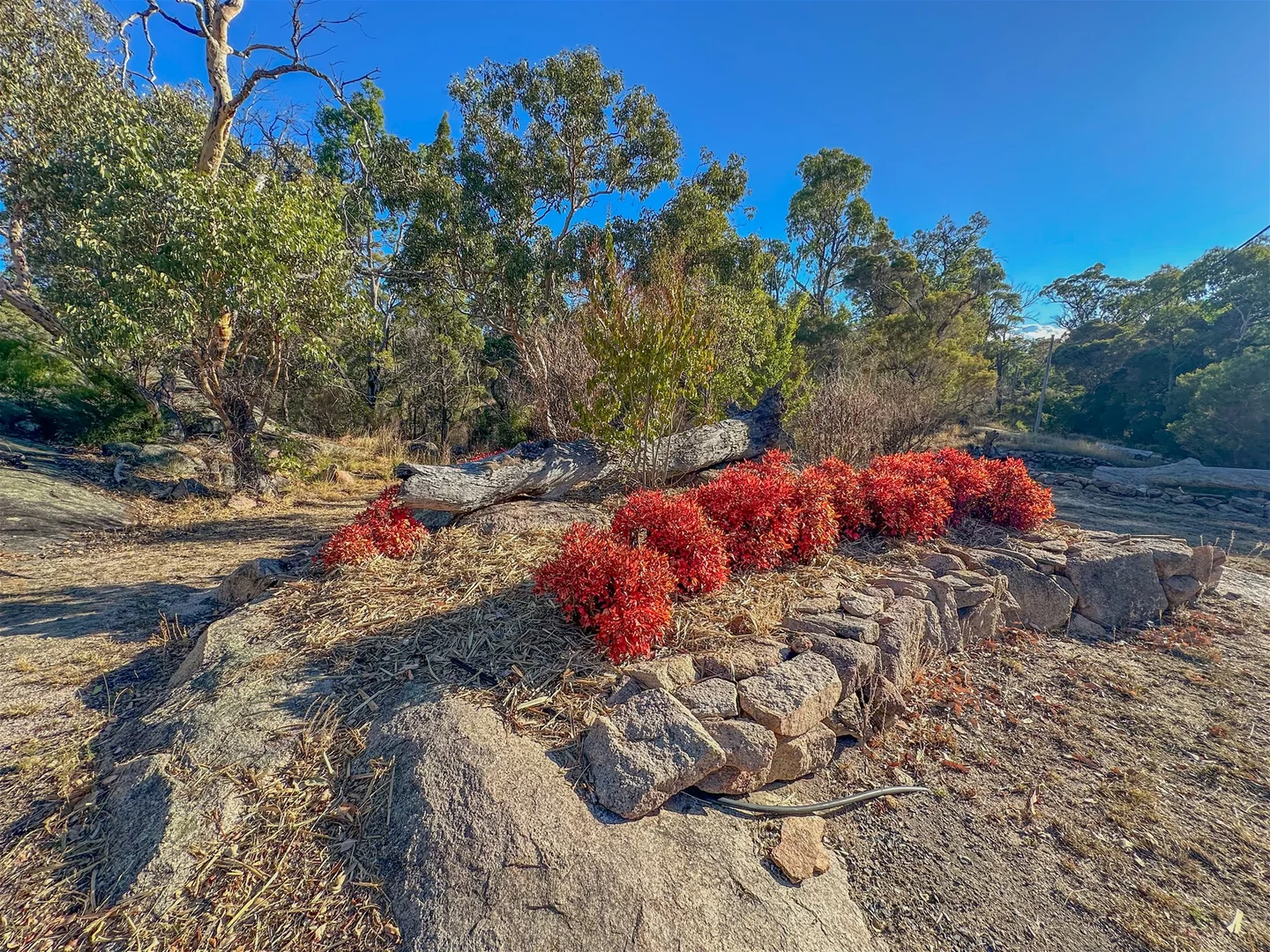 Additional image 21 of 145 Watters Road, Stanthorpe QLD 4380