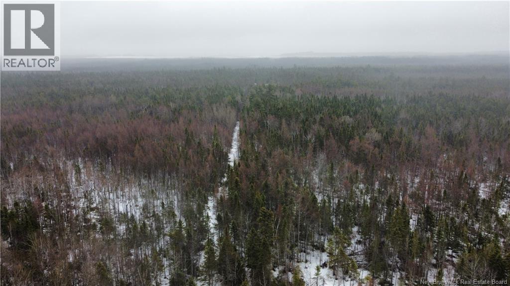 14 acres Route 11