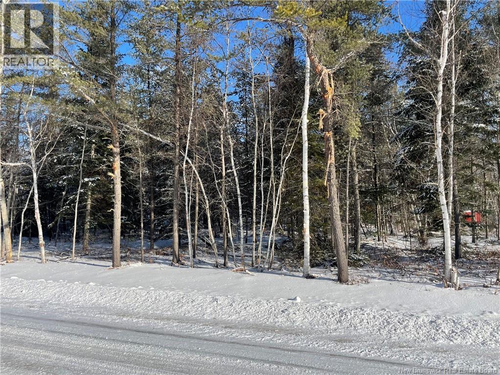 Lot 74-17 Honey Street