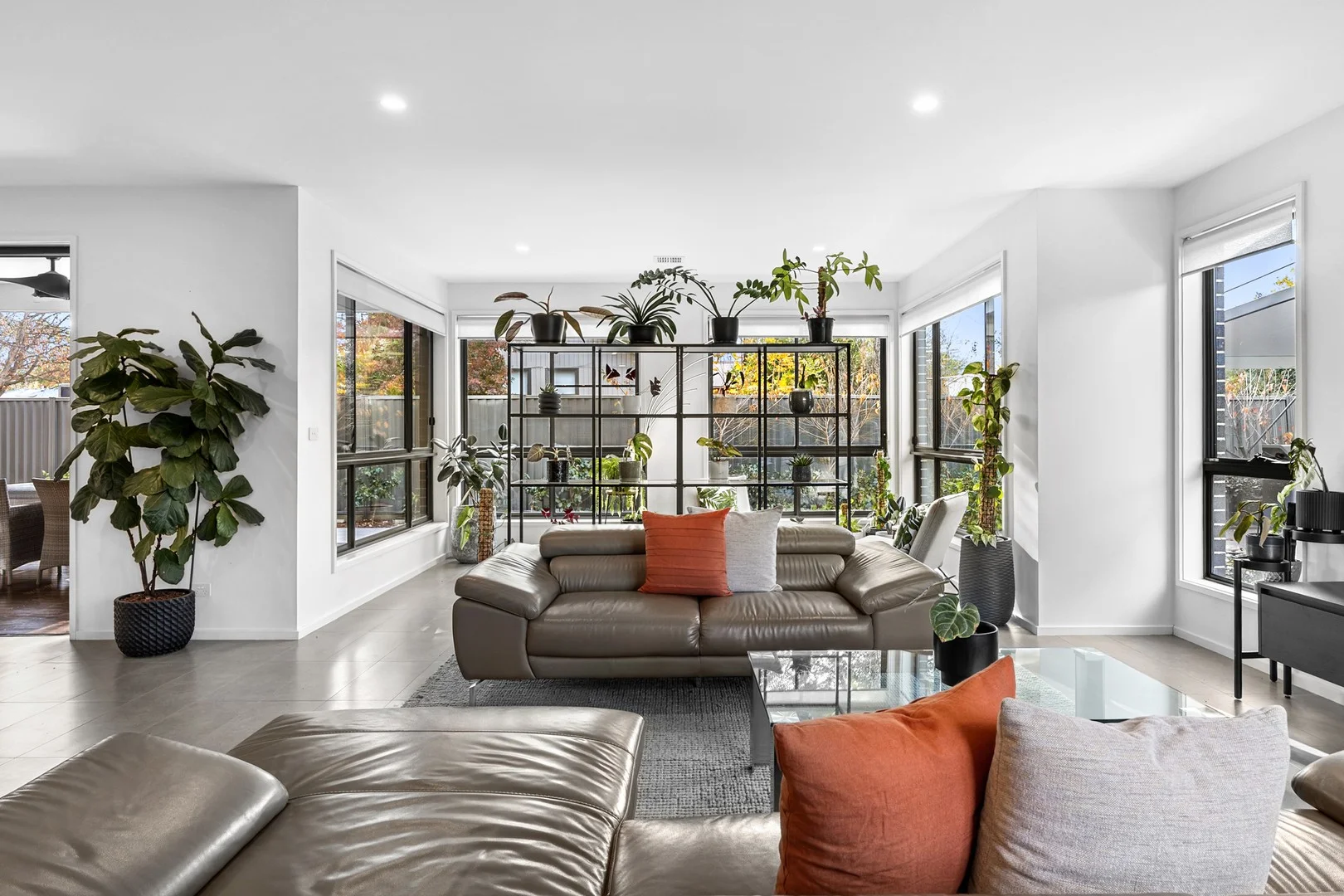 Additional image 2 of 14 Waratah Street, O'Connor ACT 2602