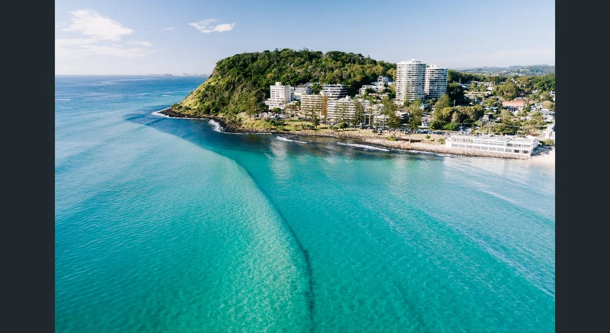 Additional image 21 of 14/9-15 Harrier Drive, Burleigh Waters QLD 4220