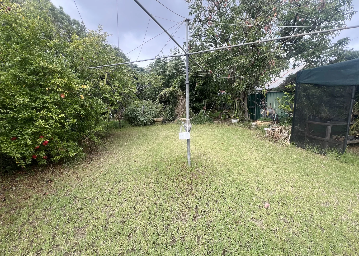 Additional image 15 of 17 White Avenue, Fullarton SA 5063