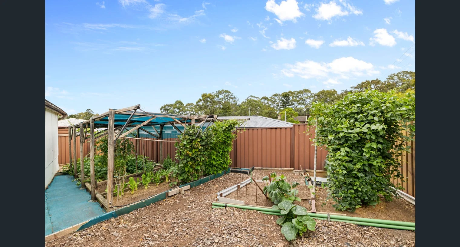 Additional image 11 of 8 Grantham Road, Seven Hills NSW 2147