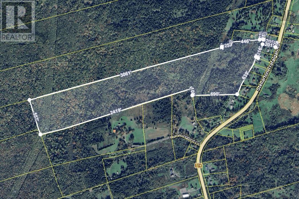 Lot Stellarton Trafalgar Road