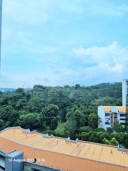 103 Clementi Street 14 photo 2