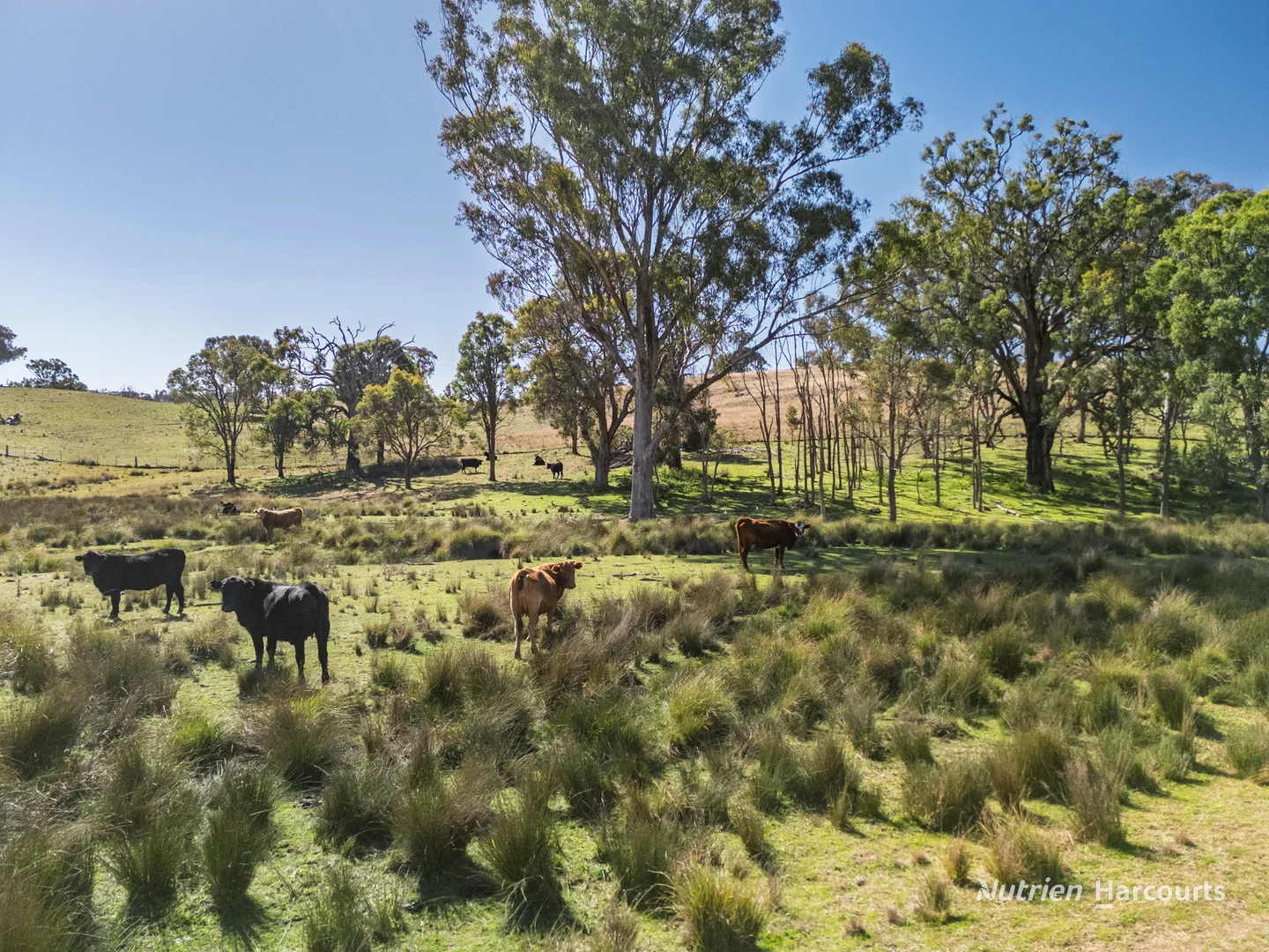 Additional image 23 of Rocky Glen Road, Kingstown NSW 2358