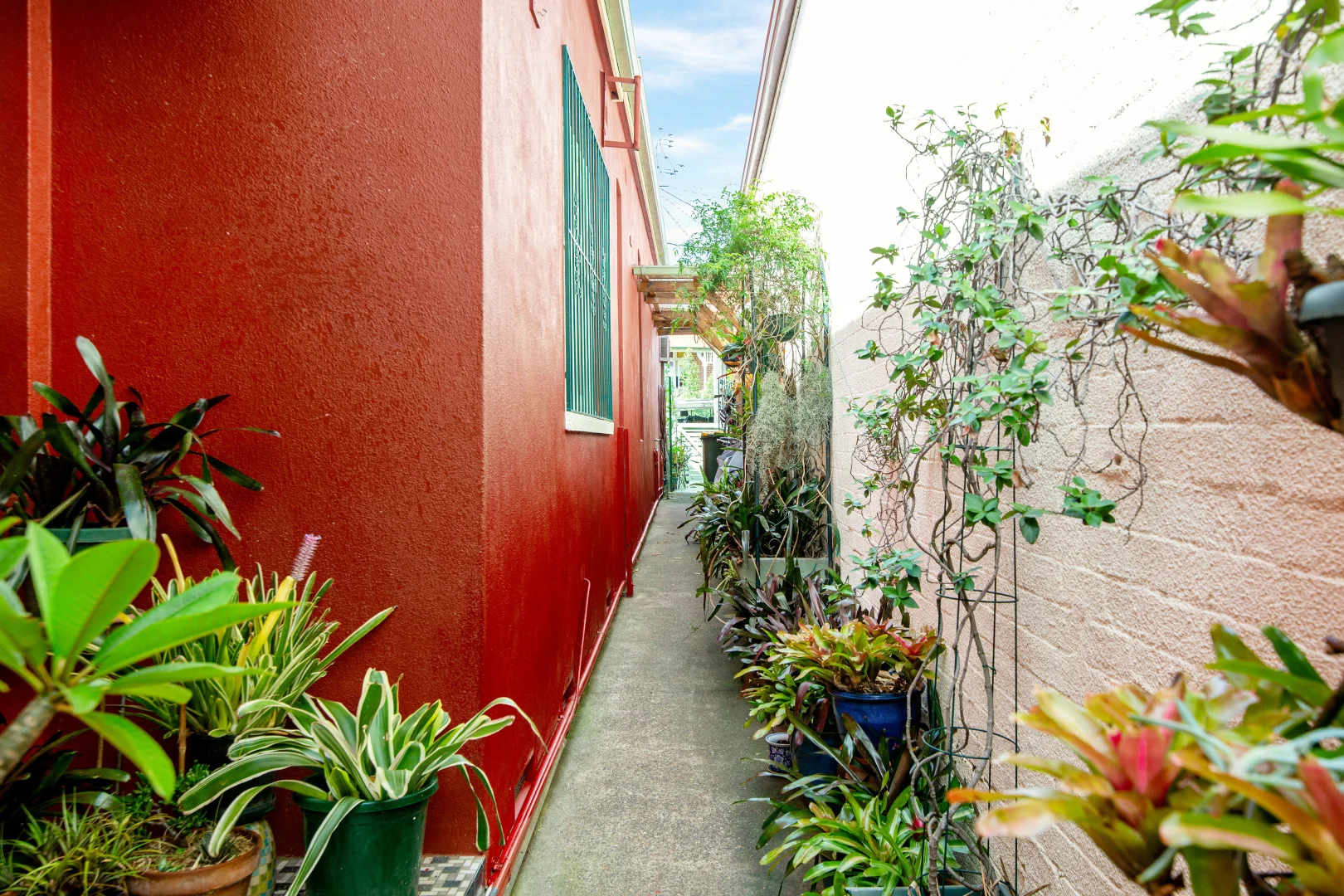 Additional image 13 of 8 Yule Street, Dulwich Hill NSW 2203