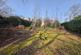 Additional image 25 of Highland Road, Wimborne, BH21