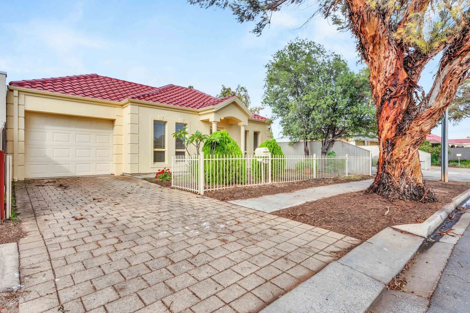 8 Lutana Crescent, Mitchell Park SA 5043 photo 3