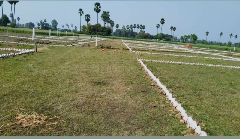Additional image 3 of Bihta, Patna