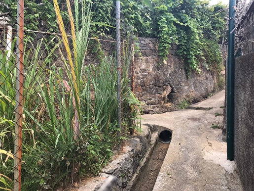 Santo Antônio (Funchal) photo 2