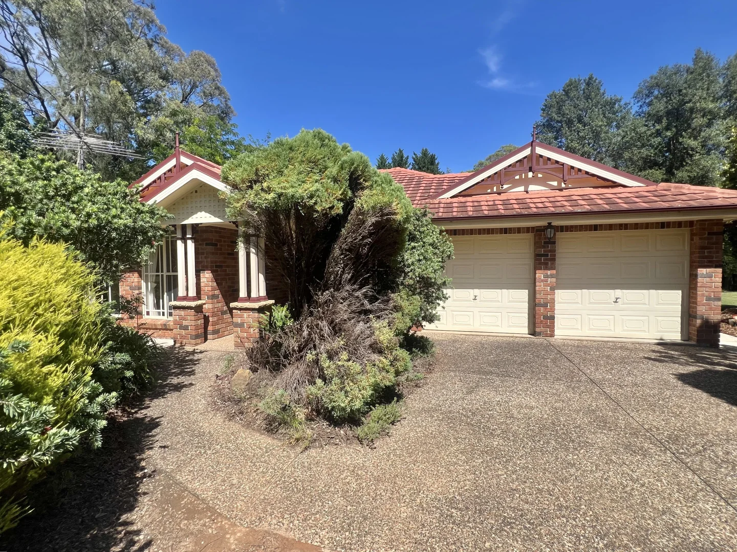 139 Dairy Road, The Oaks NSW 2570