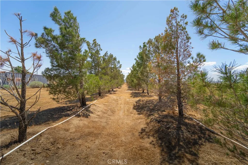 Additional image 34 of 50725 70th St W, Lancaster, CA 93536