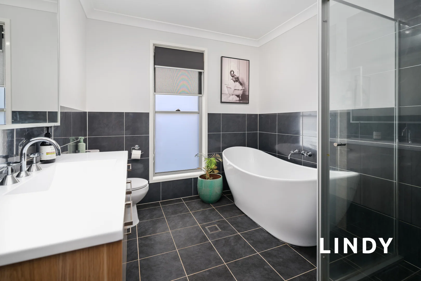 Additional image 14 of 5 Coachmans Drive, Singleton NSW 2330
