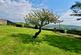 Additional image 13 of Abendruhe, Pensarn, Llanbedr, LL45 2HS