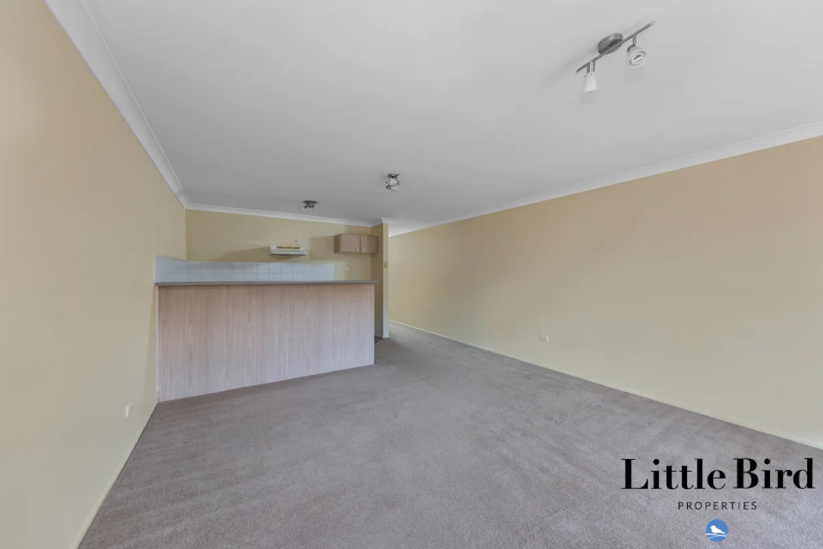 74b/12 Albermarle Place, Phillip ACT 2606 photo 4