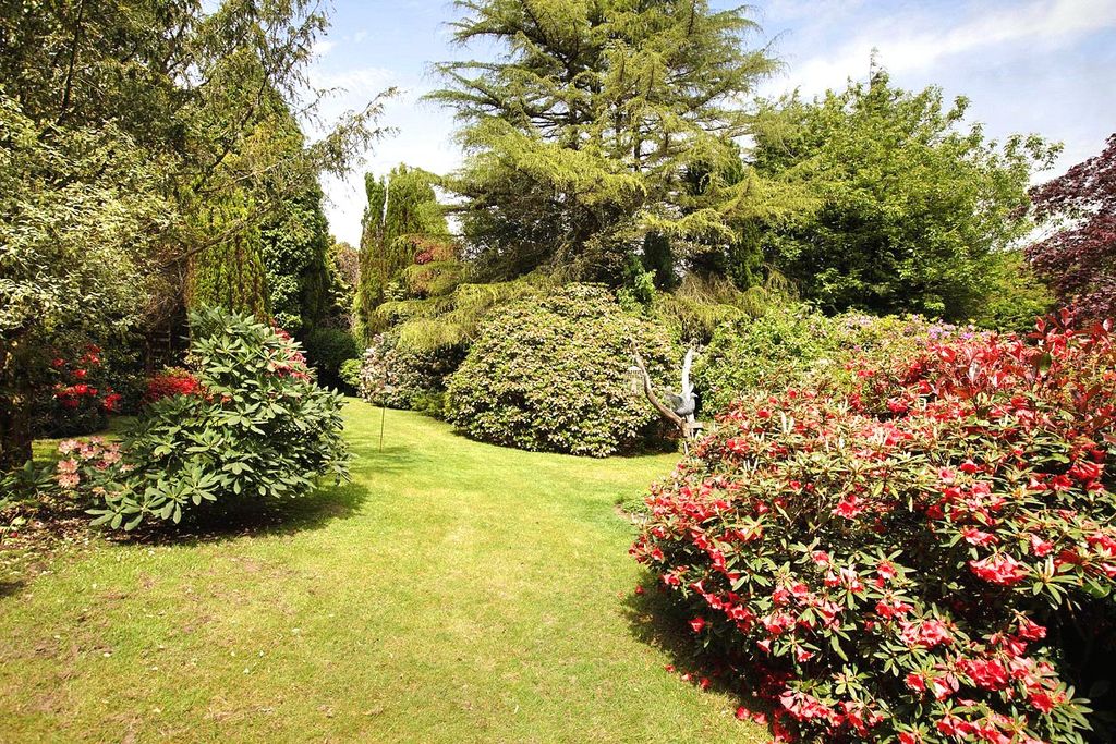 Additional image 7 of 4 bed detached house for saleWest Hill, Ottery St. Mary, Devon EX11