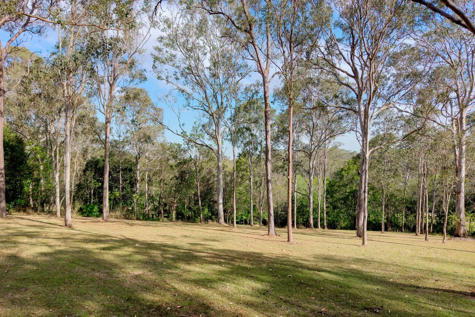Additional image 20 of 32 Whiteside Road, Whiteside QLD 4503