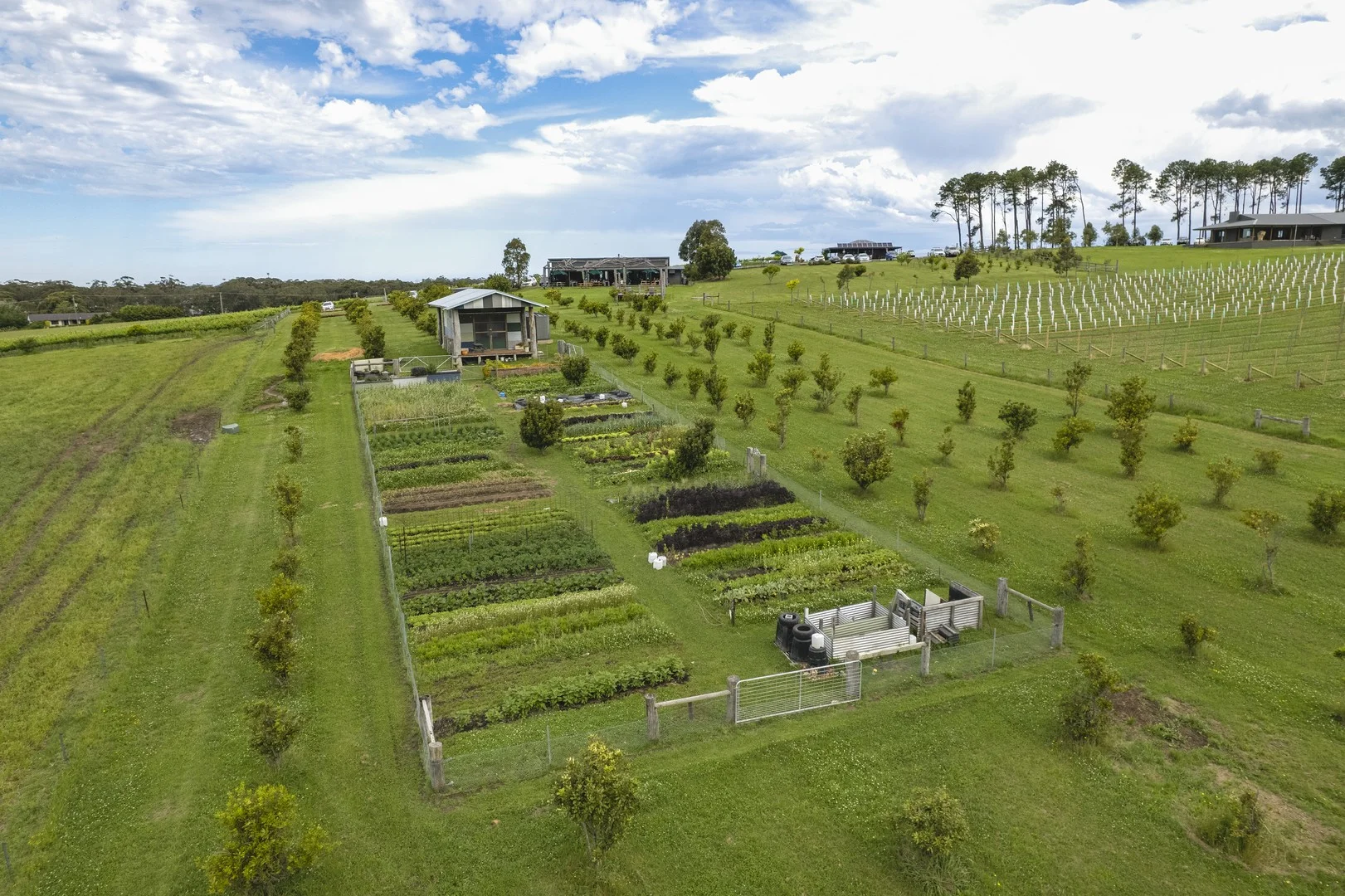 Additional image 4 of 11 Coolangatta Road, Coolangatta NSW 2535
