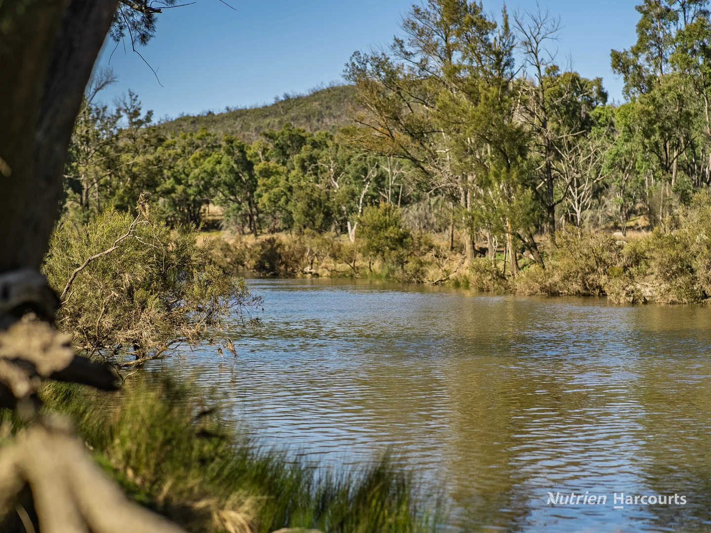 Additional image 18 of Rocky Glen Road, Kingstown NSW 2358
