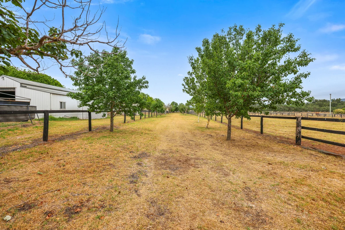 Additional image 6 of 164 Upper Dartbrook Road, Scone NSW 2337