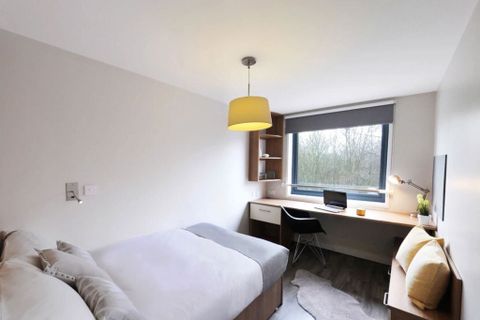 Lambeth Road, London SE1, Studio to rent