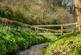 Additional image 23 of Orleton Common, Orleton, SY8