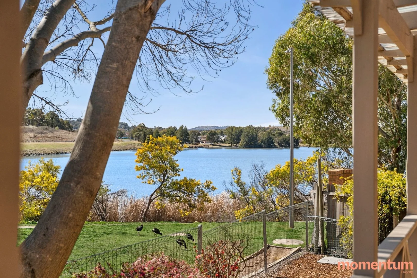 1/6 Cripps Place, Gordon ACT 2906