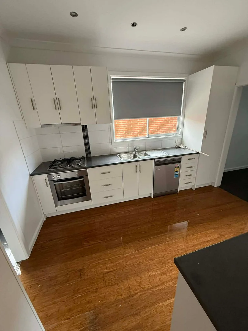 14 Tasman Ave, Belmont VIC 3216 photo 3