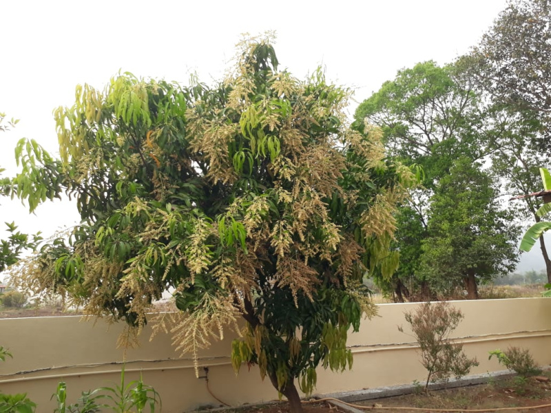 Additional image 3 of Karjat, Mumbai