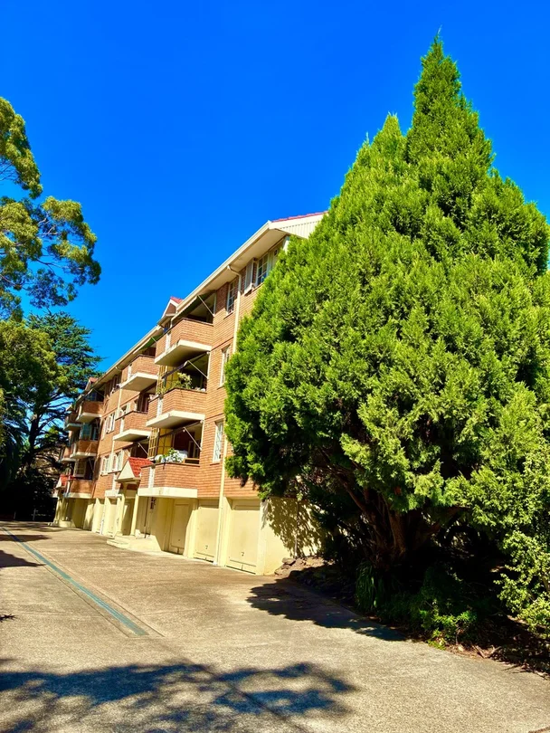 UNIT 8/17 Cecil Street, Ashfield NSW 2131