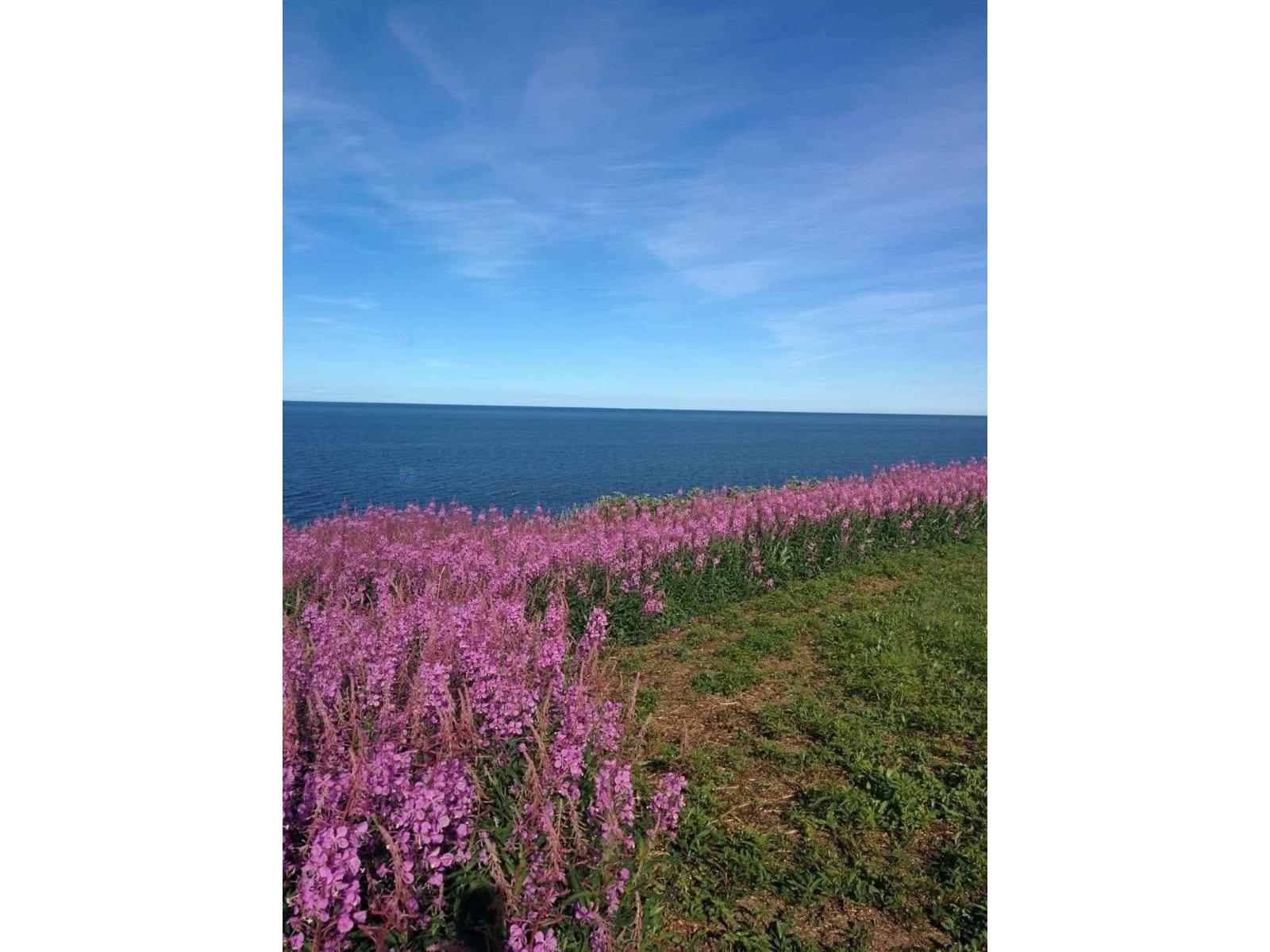Boul. de Cap-des-Rosiers
