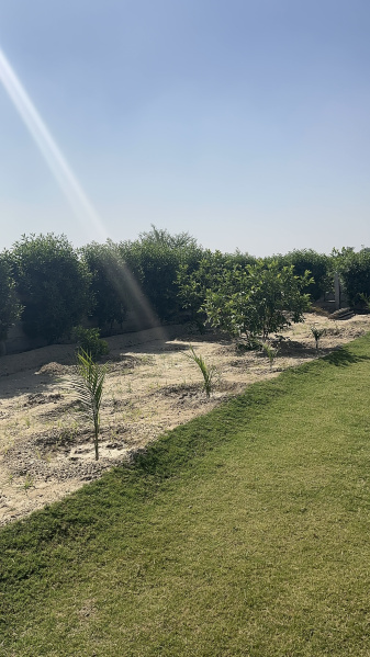 Jasana Village, Faridabad photo 2