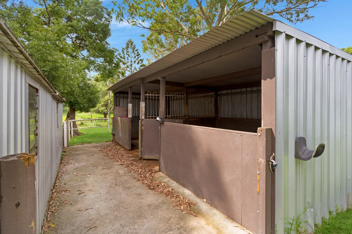 Additional image 2 of 58 Coorabin Court, Tallebudgera QLD 4228