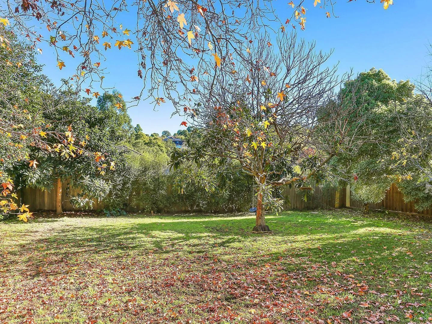 Additional image 5 of 21 Sunhill Road, Mount Waverley VIC 3149